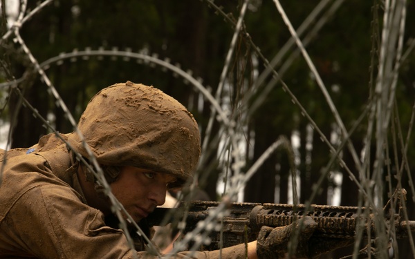 I'm up! They see me! I'm down!