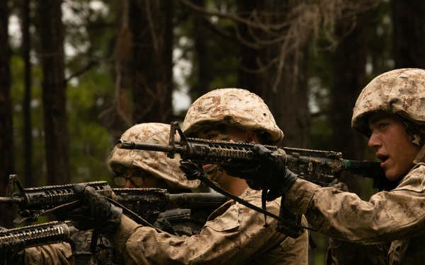 I'm up! They see me! I'm down!