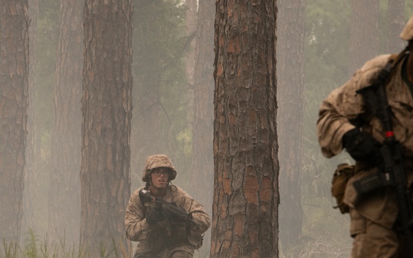 I'm up! They see me! I'm down!