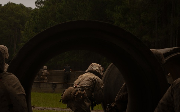 I'm up! They see me! I'm down!