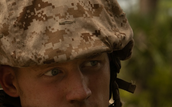 I'm up! They see me! I'm down!