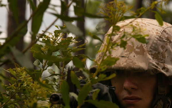 I'm up! They see me! I'm down!