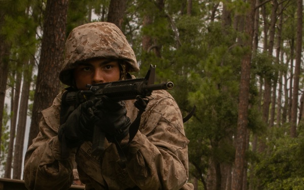 I'm up! They see me! I'm down!