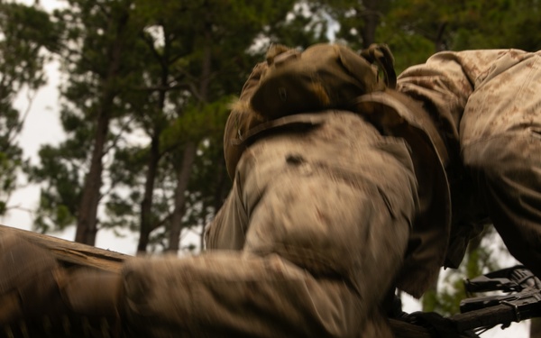 I'm up! They see me! I'm down!