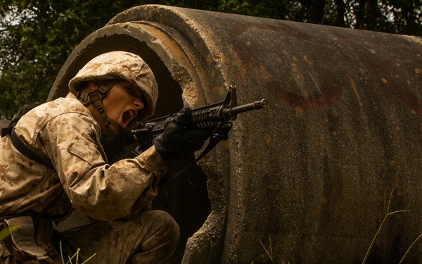 I'm up! They see me! I'm down!