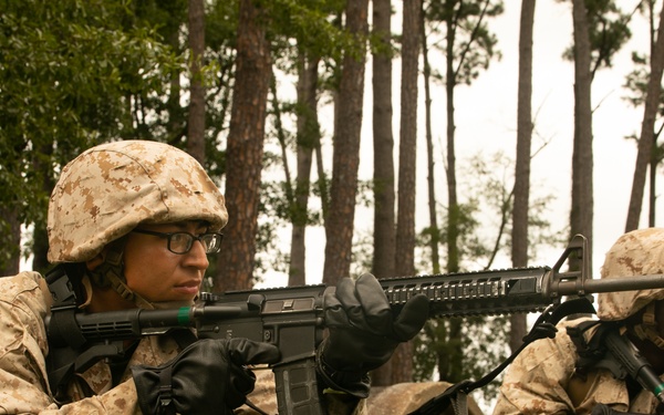 I'm up! They see me! I'm down!