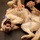 Meet Ike