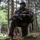 Shinka 23| 3d Recon Battalion Fast Rope Insert Shinka 23| 3d Recon Battalion Fast Rope Insert