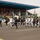 CLDJ Celebrates Djiboutian Independence Day
