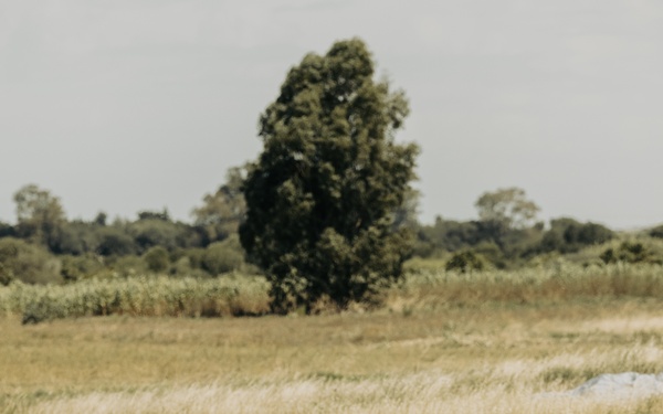 2d Recon and EODMU8 Own the Sky