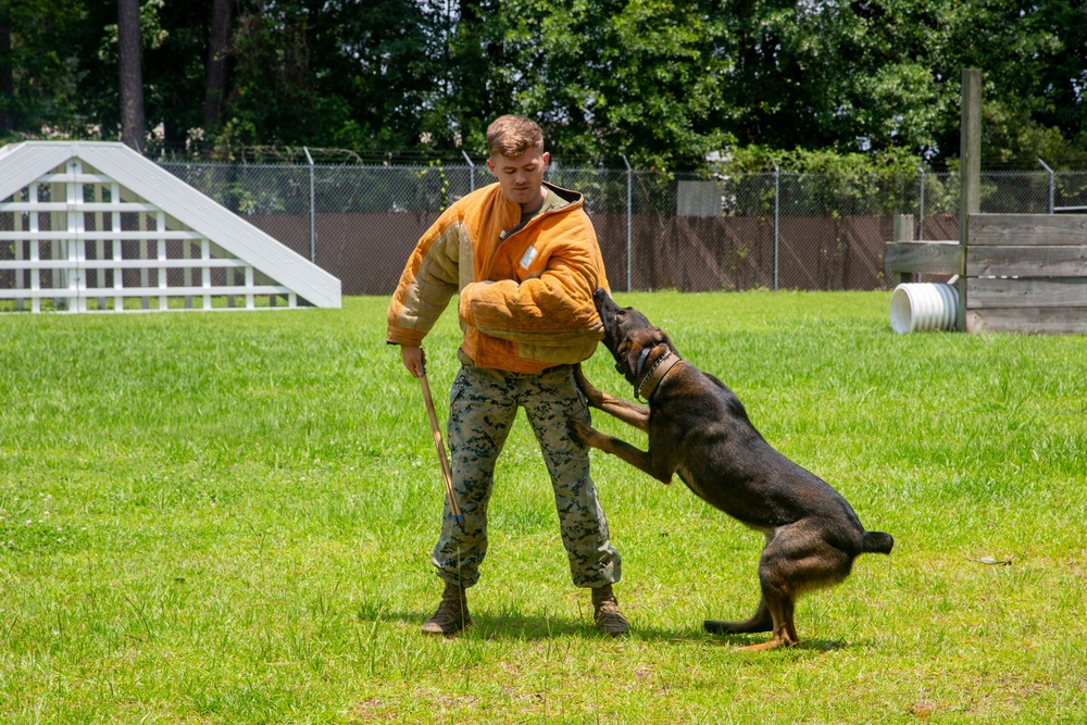 Congresswoman Nancy Mace's staff members visit MCAS Beaufort