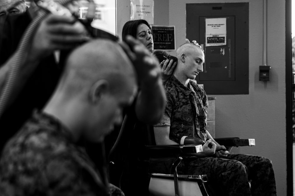 Fox Company Receives Haircuts