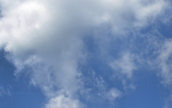 OPERATION CENTENNIAL CONTACT