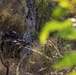 TRAPPED Down Under: BLT 2/1 conducts a TRAP exercise in Australia