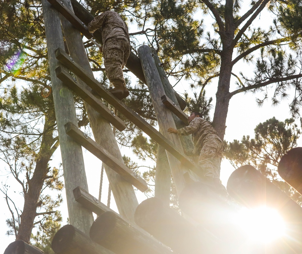 Mike Company Confidence Course