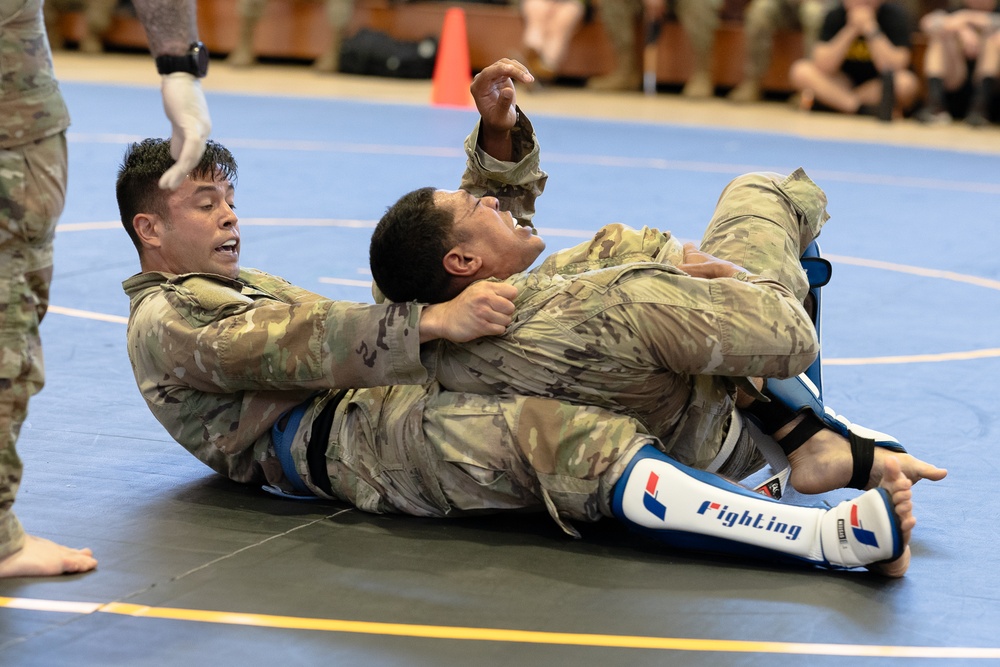 Sky Soldiers Participate in Combative Tournament