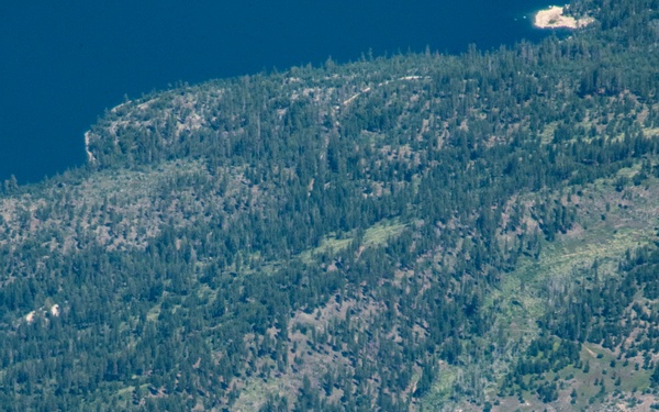 Operation Centennial Contact