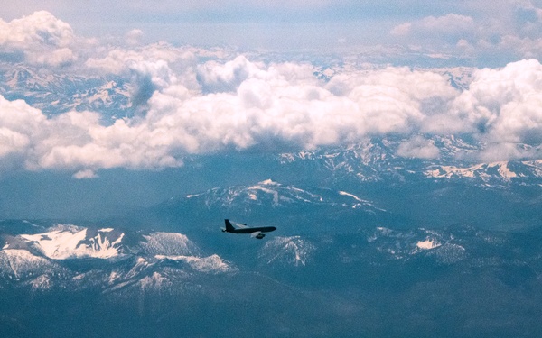 Operation Centennial Contact