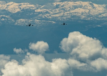 Operation Centennial Contact