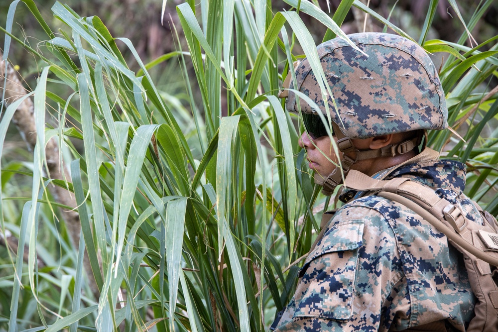 MWSS-174 Conducts Counter-Mobility Exercise