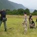 Green Berets train with ally in Montenegro