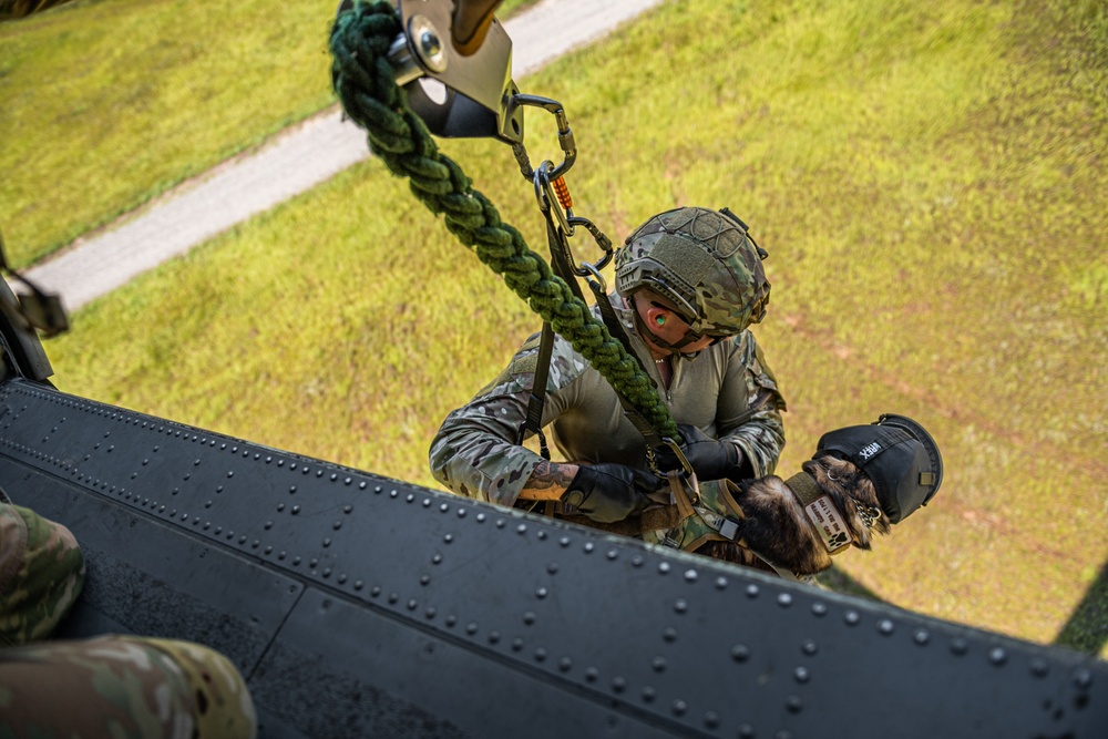 USAF, USSF K9 FRIES training