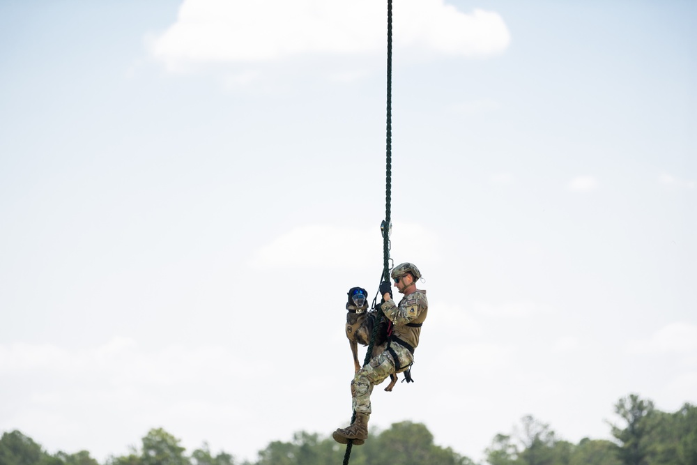 USAF, USSF K9 FRIES training