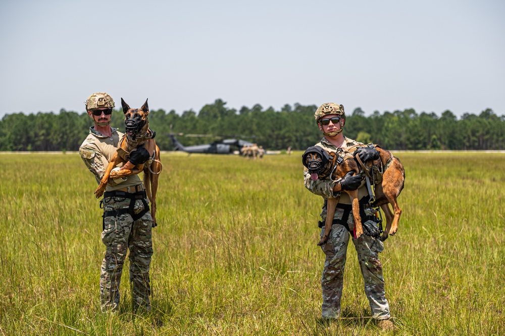 USAF, USSF K9 FRIES training
