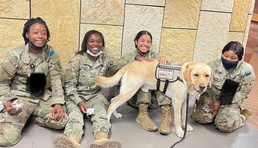 Facility Dogs’ Value Recognized with Service Commissioning/Enlistment