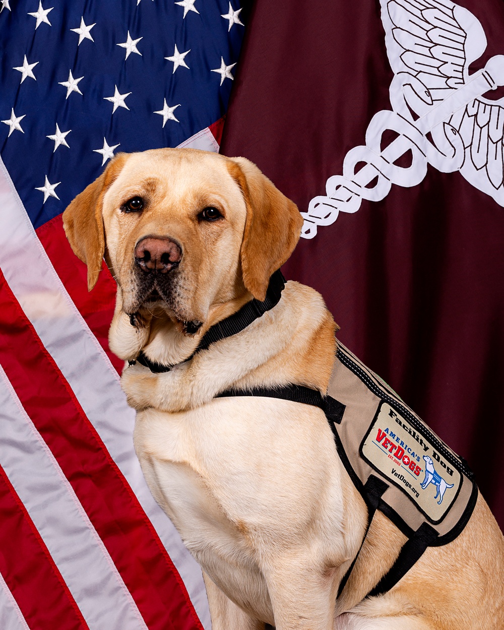 Facility Dogs’ Value Recognized with Service Commissioning/Enlistment