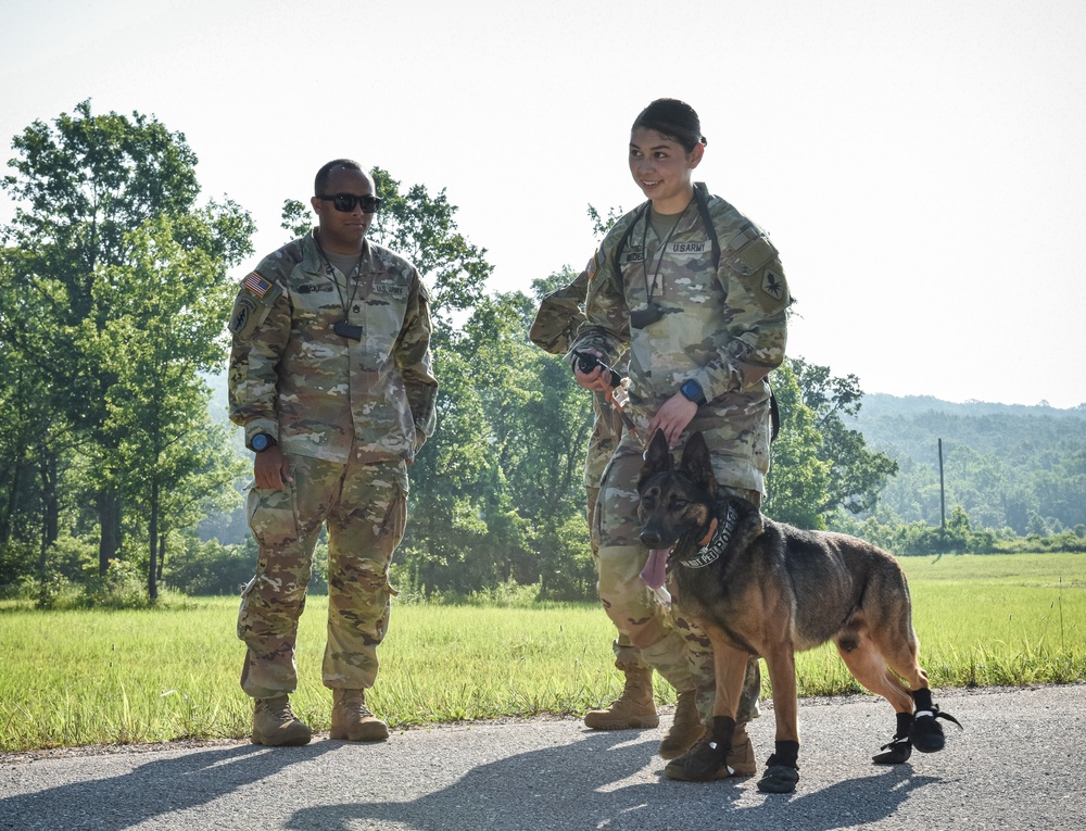 Enhanced military working dog course unleashes maximum potential