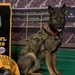 Facility Dogs’ Value Recognized with Service Commissioning/Enlistment