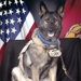 Facility Dogs’ Value Recognized with Service Commissioning/Enlistment