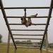 2023 ASC Best Warrior Competition - Obstacle Course