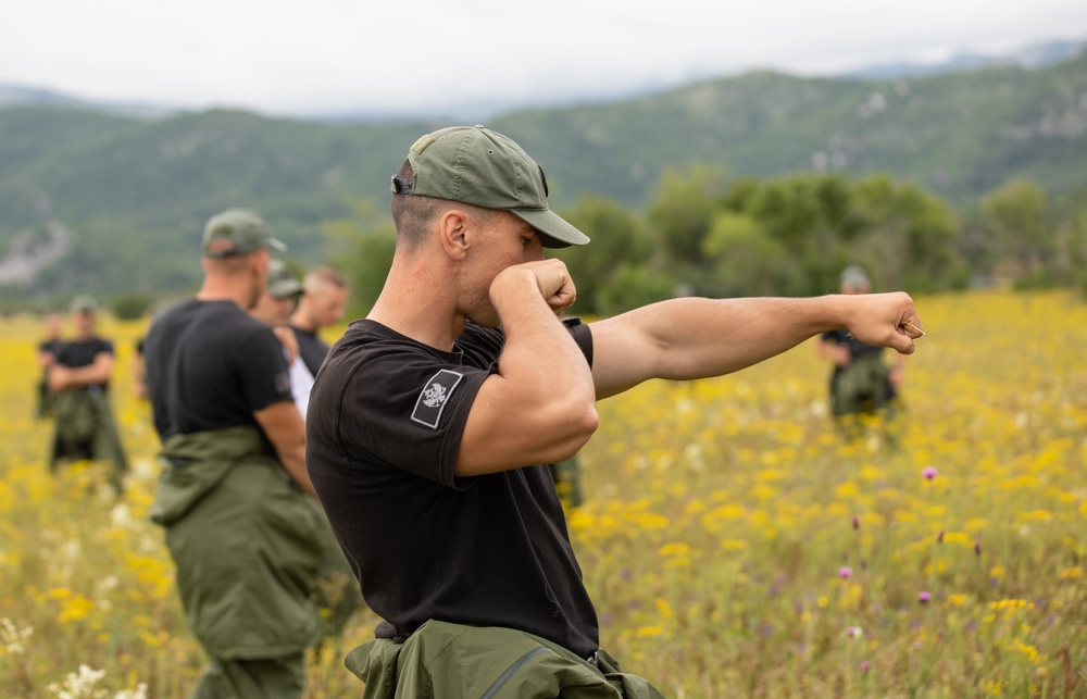 Green Berets train with ally in Montenegro
