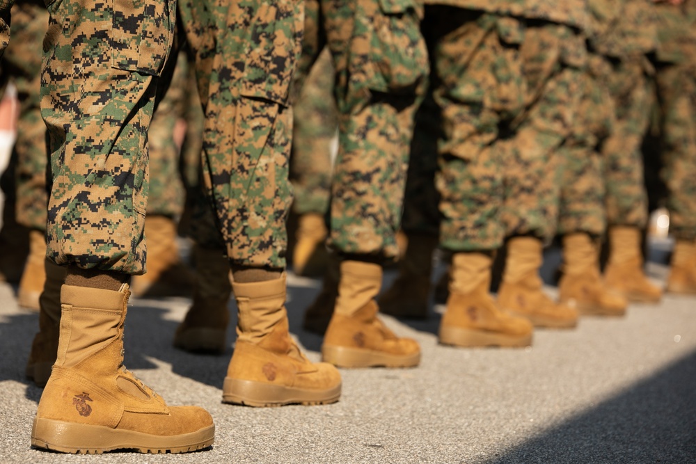 13 Weeks of Letters Later