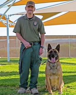 Military Working Dog