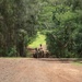 AIMC Patrol Field Leadership Course at Kahuku Training Area