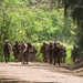 AIMC Patrol Field Leadership Course at Kahuku Training Area