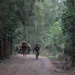 AIMC Patrol Field Leadership Course at Kahuku Training Area