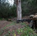 AIMC Patrol Field Leadership Course at Kahuku Training Area