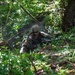 AIMC Patrol Field Leadership Course at Kahuku Training Area