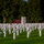 Luxembourg American Cemetery