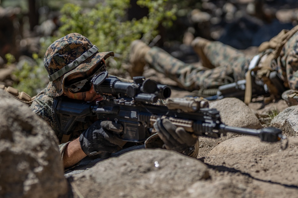 Marines with Marine Forces Reserve conduct their final exercise for MTX 4-23