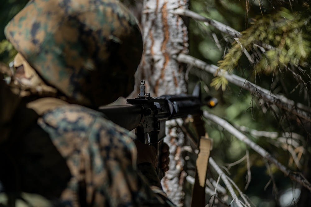 Marines with Marine Forces Reserve conduct their final exercise for MTX 4-23