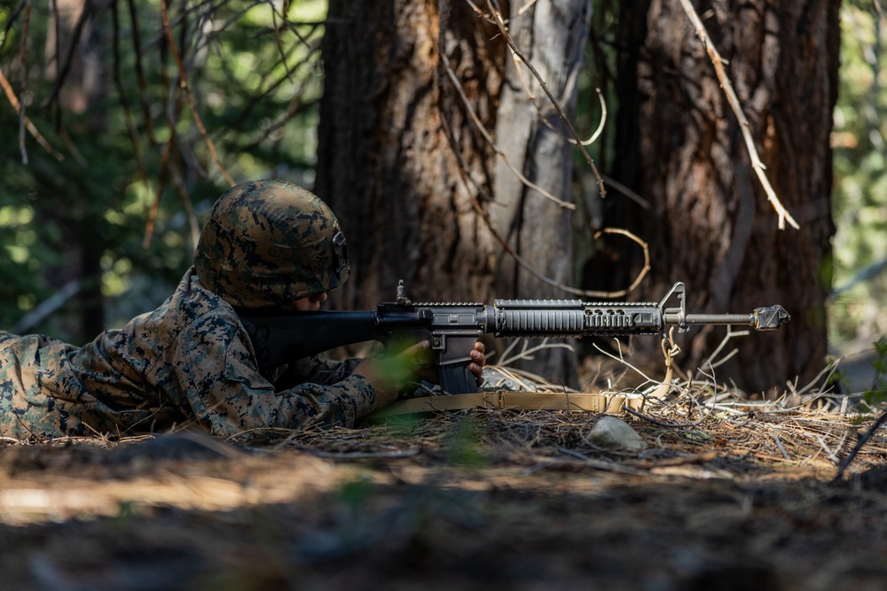 Marines with Marine Forces Reserve conduct their final exercise for MTX 4-23