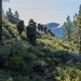 Marines with Marine Forces Reserve conduct their final exercise for MTX 4-23