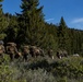 Marines with Marine Forces Reserve conduct their final exercise for MTX 4-23