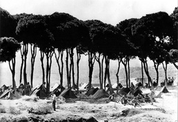 Eisenhower Authorizes Operation BLUE BAT (15 July 1958)