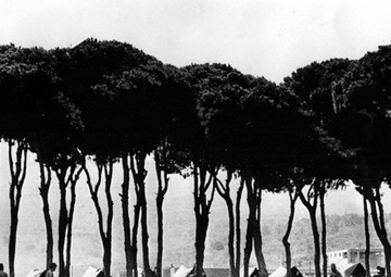 Eisenhower Authorizes Operation Blue Bat (15 July 1958)